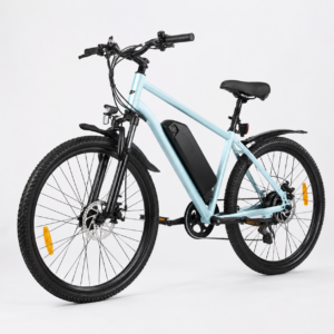 vélo électrique e19
